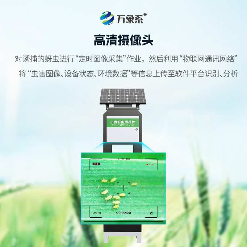 小麥蚜蟲(chóng)在線(xiàn)監測系統
